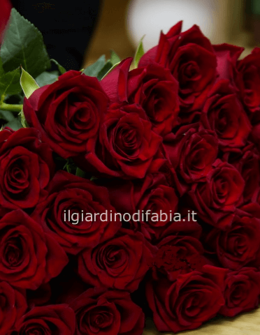 Rose rosse da comporre in mazzo per numero di steli