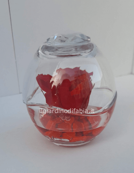 Rose stabilizzate in vetro chiuso